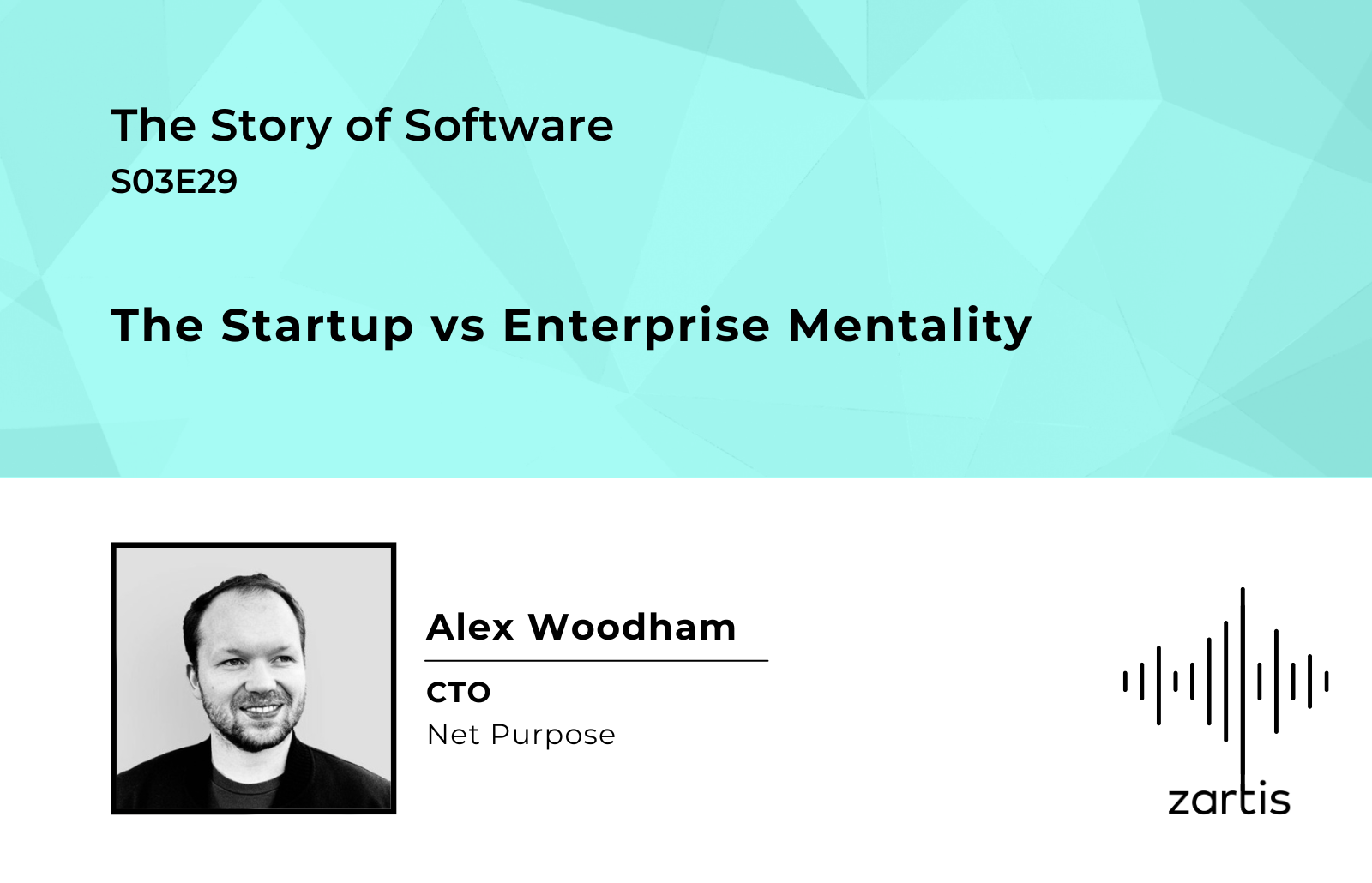 The Startup vs Enterprise Mentality – Story Of Software S03E29