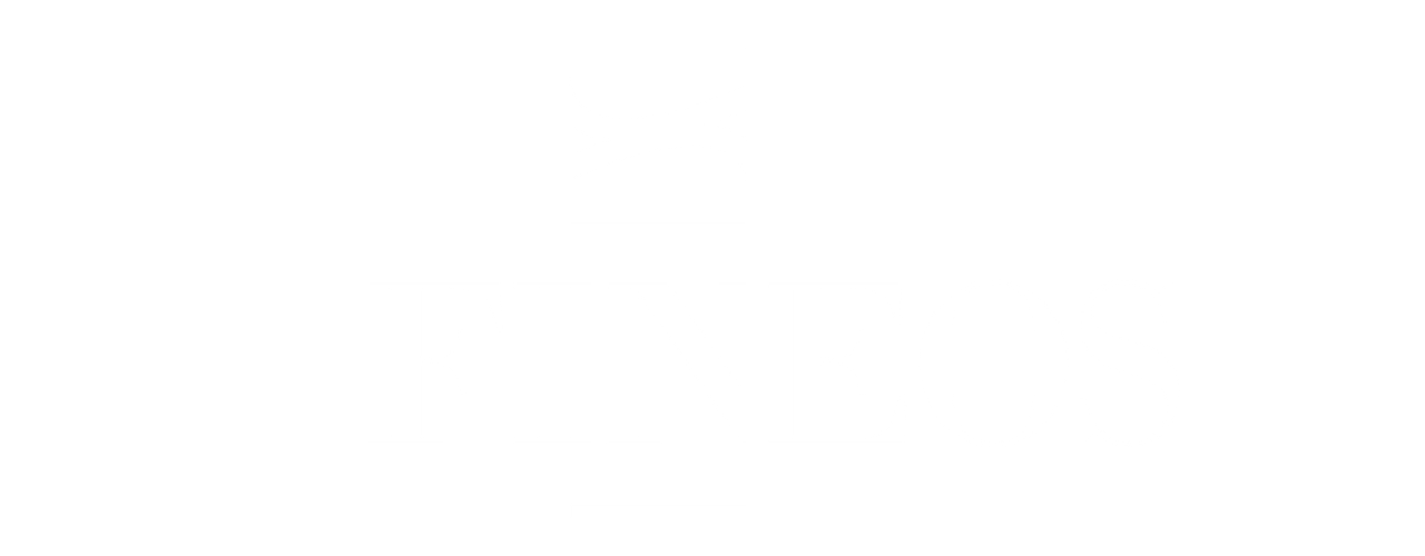 fineos logo